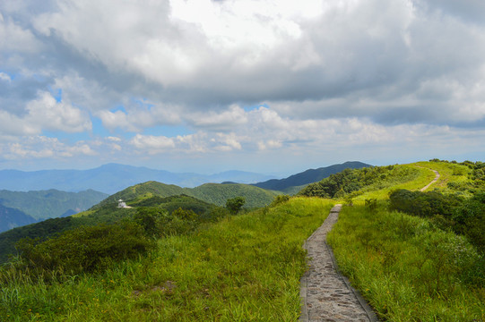 廣西姑婆山