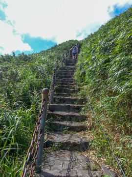 山里小路 山路
