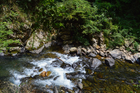山中溪流