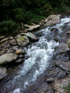 山中溪流