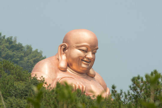 尼羅佛