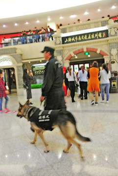 巡邏的保安 與警犬
