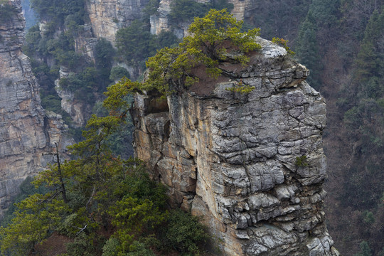 張家界 武陵源 著名景點(diǎn) 旅游