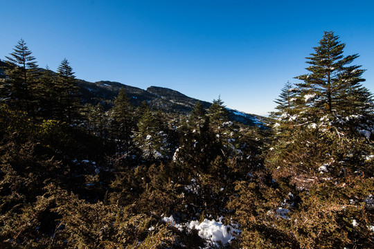 轎子雪山風(fēng)光