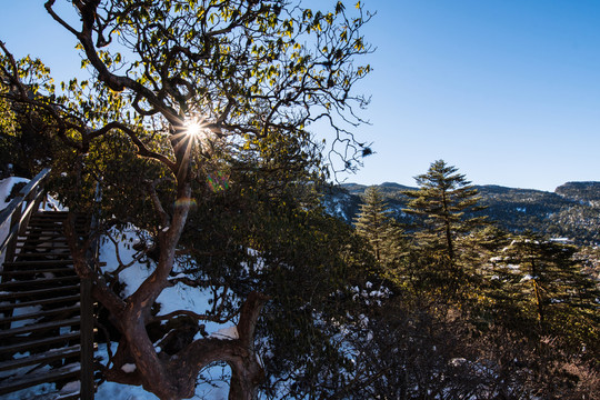轎子雪山風(fēng)光