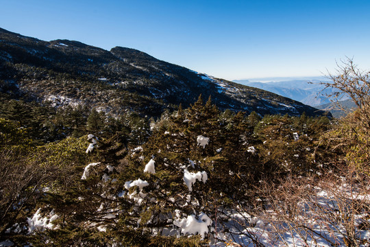 轎子雪山風(fēng)光