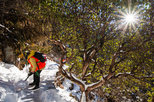 轎子雪山清道工