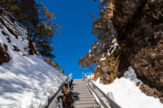 轎子雪山一線天頂端