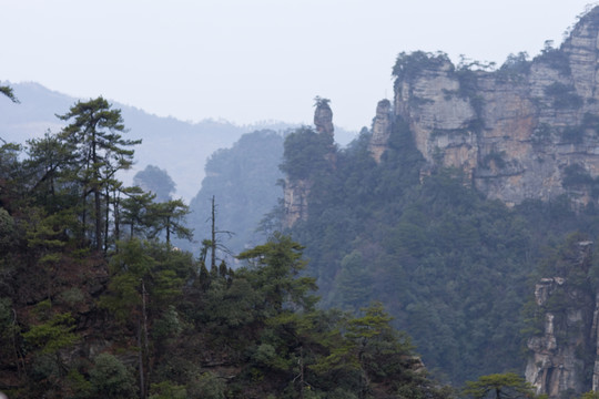 張家界 武陵源 著名景點 旅游
