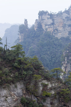 張家界 武陵源 著名景點 旅游
