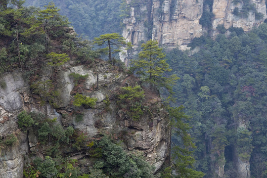 張家界 武陵源 著名景點 旅游