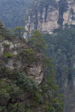 張家界 武陵源 著名景點(diǎn) 旅游