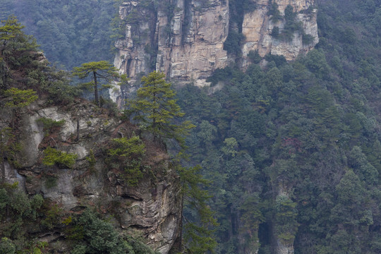 張家界 武陵源 著名景點 旅游