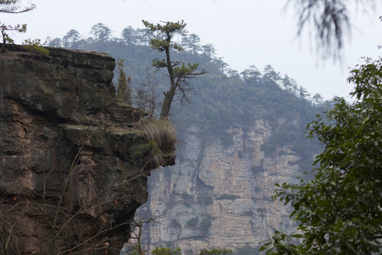張家界 武陵源 著名景點 旅游