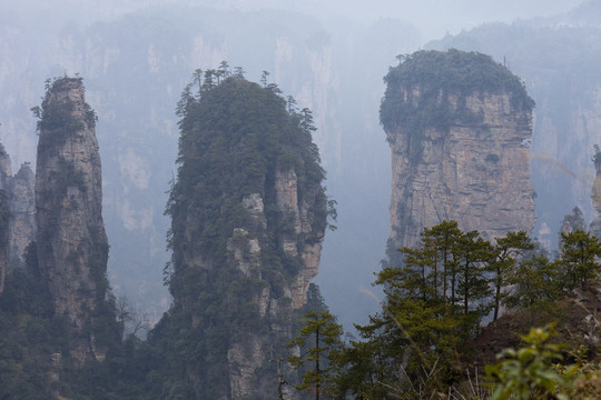 張家界 武陵源 著名景點 旅游