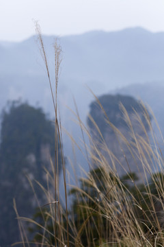 張家界 武陵源 著名景點 旅游