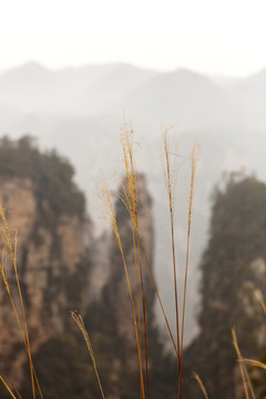 張家界 武陵源 著名景點 旅游