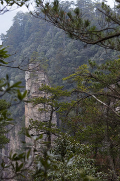 張家界 武陵源 著名景點(diǎn) 旅游
