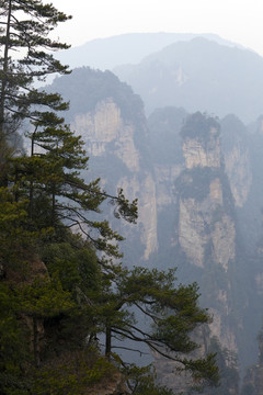 張家界 武陵源 著名景點 旅游