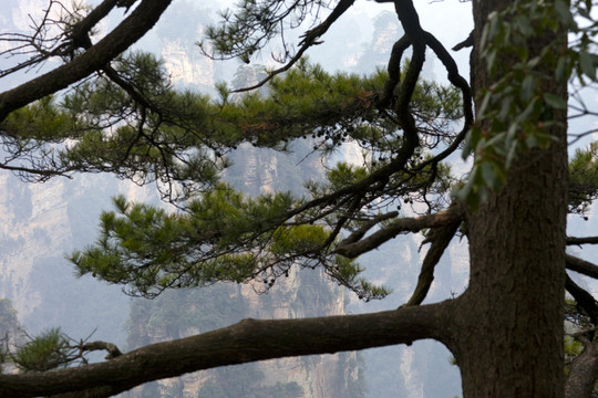 張家界 武陵源 著名景點(diǎn) 旅游