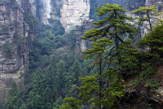 張家界 武陵源 著名景點(diǎn) 旅游