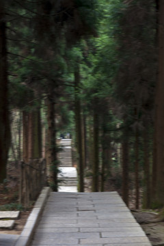 張家界 武陵源 著名景點(diǎn) 旅游