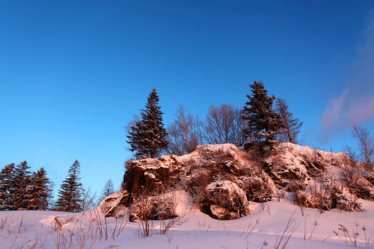 林海雪原 雪鄉(xiāng) 樹木 白雪 冬