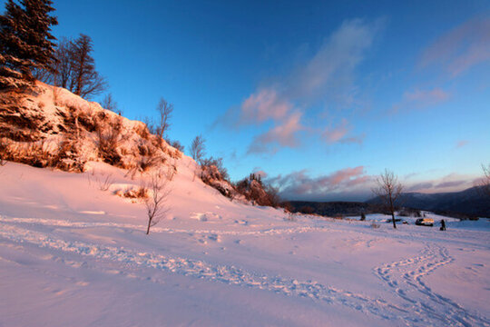 林海雪原 雪鄉(xiāng) 樹木 白雪 冬