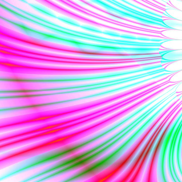 花瓣