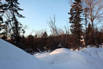 林海雪原 雪鄉(xiāng) 樹木
