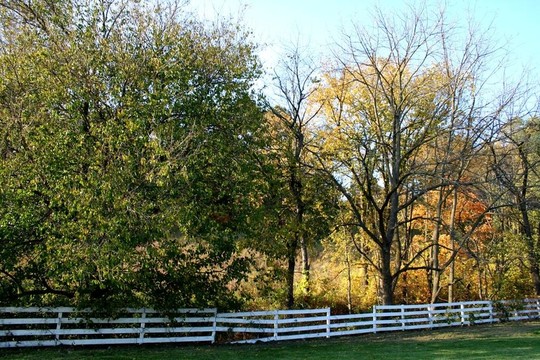破碎的Pickett Fence