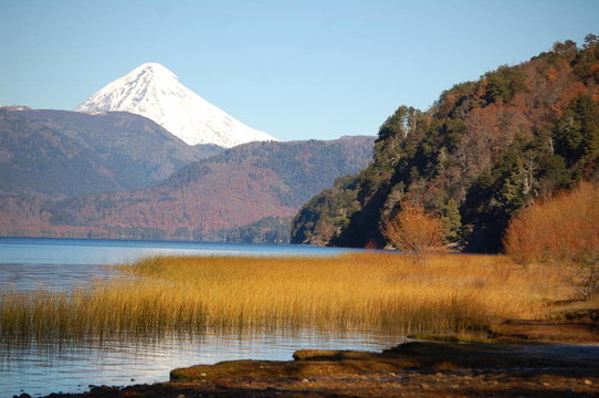 巴塔哥尼亞脗麓Lanin火山的