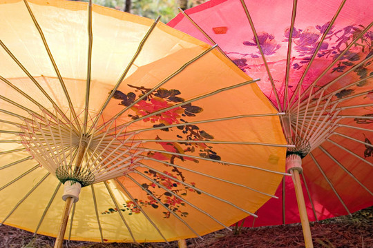 中國(guó)的遮陽(yáng)傘。
