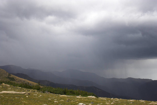 山地雨林