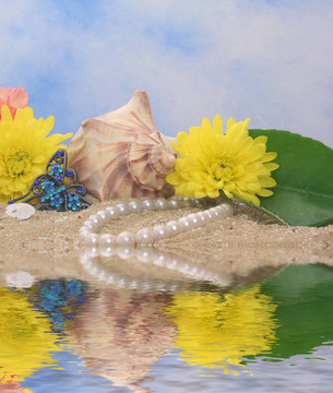 Beach的花和貝殼