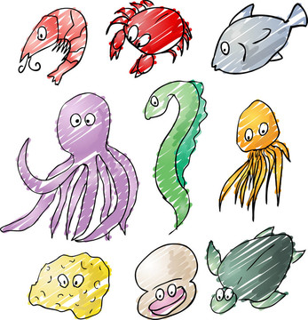 海洋生物