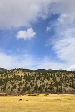山地景觀