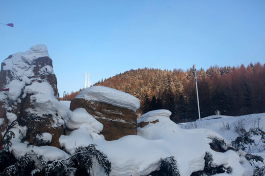 林海雪原 雪鄉(xiāng) 樹木