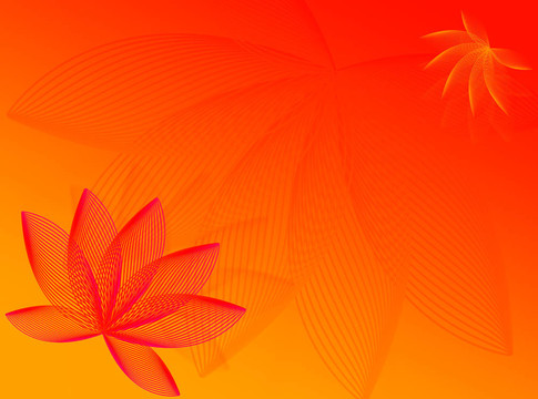 五顏六色的花朵
