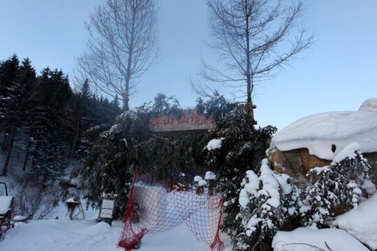 林海雪原 雪鄉(xiāng) 樹木 白雪 冬