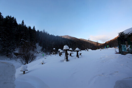 林海雪原 雪鄉(xiāng) 樹木