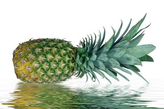 菠蘿