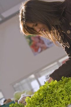 蔬菜市場綠生菜