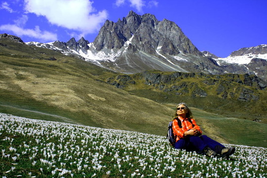 ALP grevasalvas
