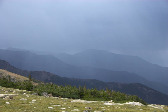 山地雨林