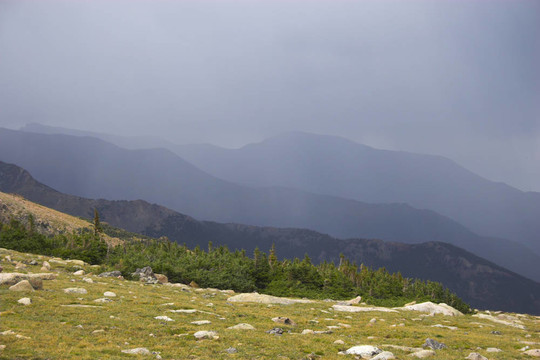 山地雨林