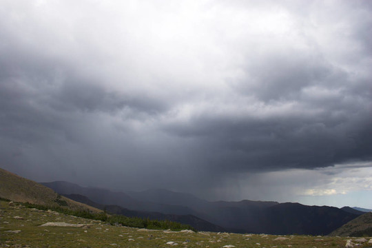 山地雨林