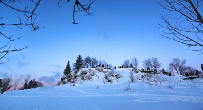 林海雪原 雪鄉(xiāng) 樹木