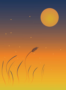 螢火蟲(chóng)