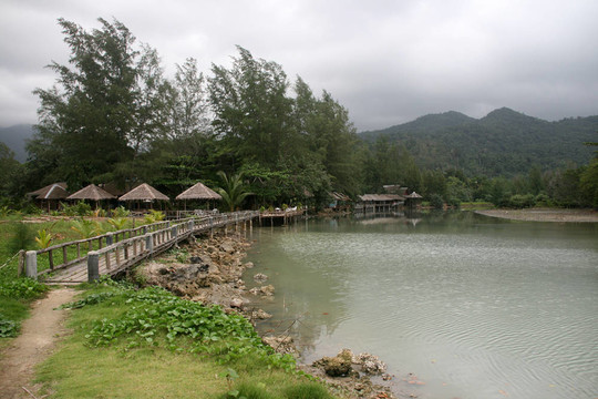 熱帶性質(zhì)